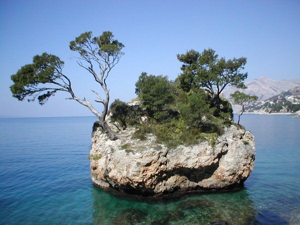 Kamen Brela, the pine-covered rock in the clear Adriatic Sea