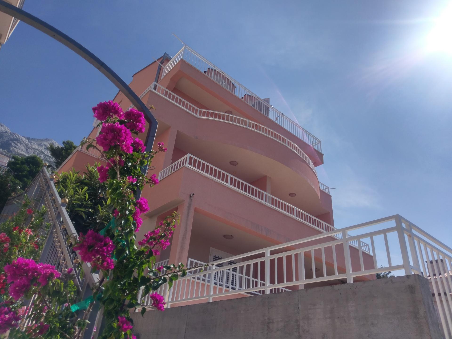 Apartments Novak building with bougainvillea flowers